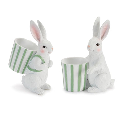 Rabbit w/Container (2 Asst) 5.5"H, 5.75"H Resin