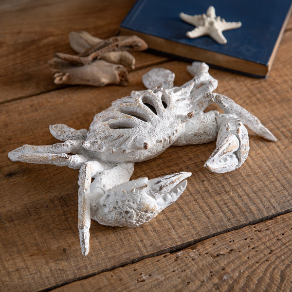 White Coral Stone Crab