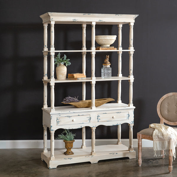 Laelius Display Shelf with Storage