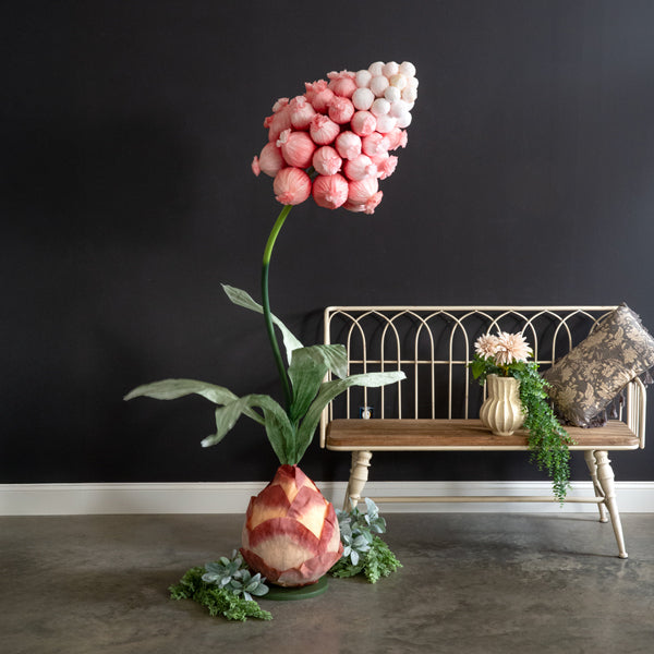 Muscari Pink Sunrise Paper Floor Plant