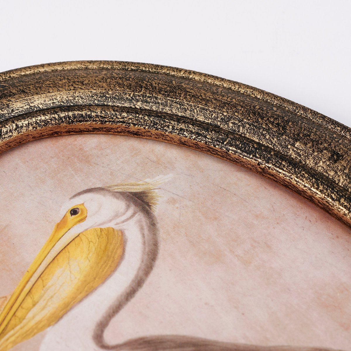 Pelican Wall Art