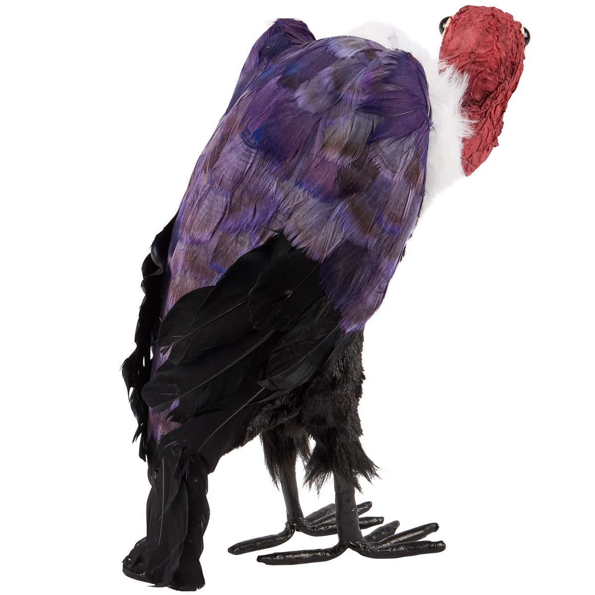 Vulture Sitter