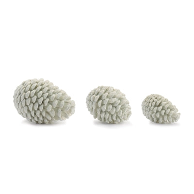 Pine Cone (S/3)
