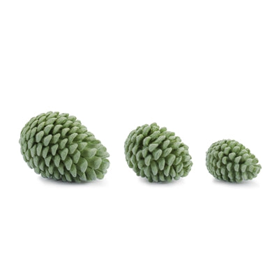 Pine Cone (S/3)