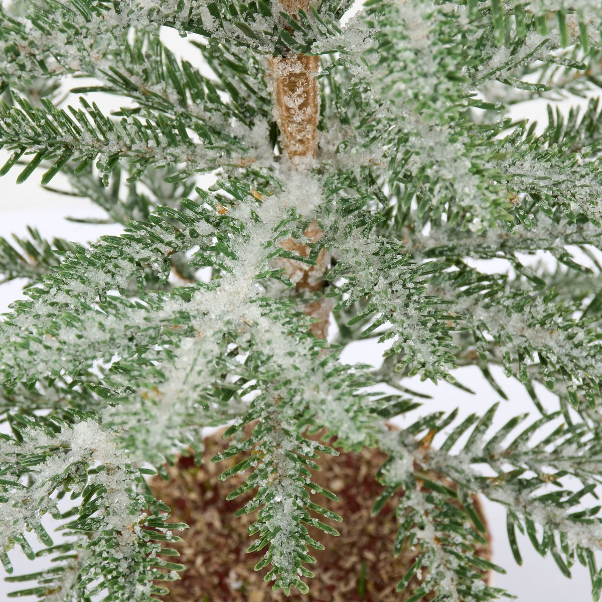 Icy Pine Tree (M)