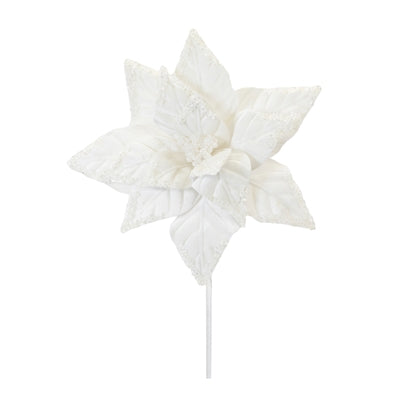 Poinsettia Stem