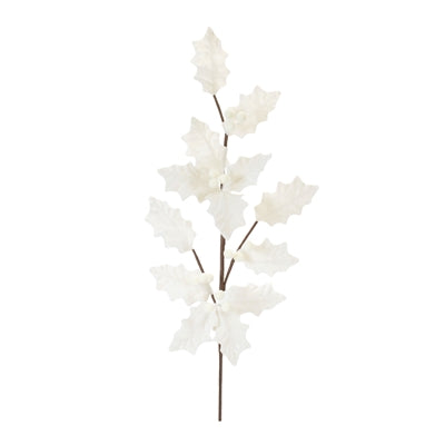 Holly Stem