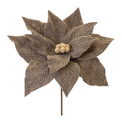 Poinsettia Stem