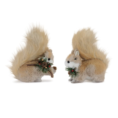Squirrel (S/2)