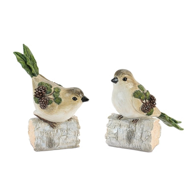 Bird on Birch Branch (S/2)
