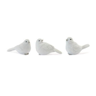 Bird (S/3)