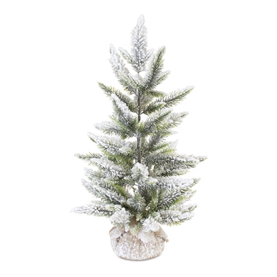 Mini Pine Tree