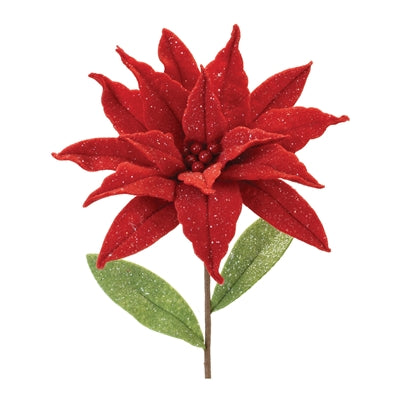 Poinsettia Stem