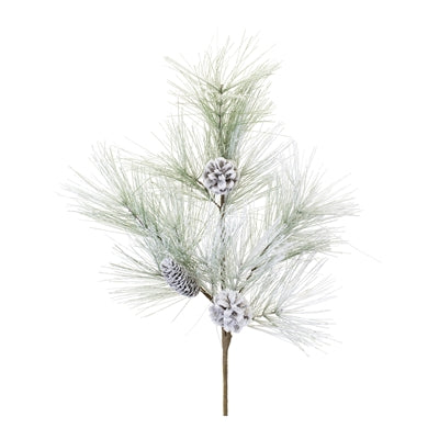 Long Needle Pine Spray