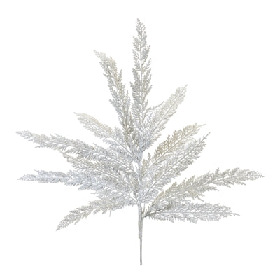 Cedar Spray