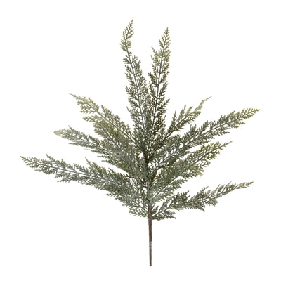 Cedar Spray