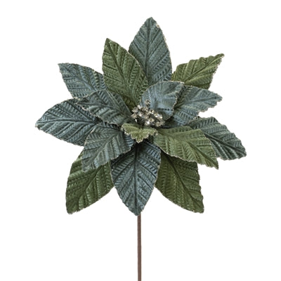 Poinsettia Stem