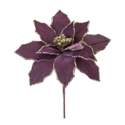 Poinsettia Stem