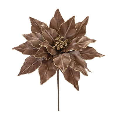 Poinsettia Stem