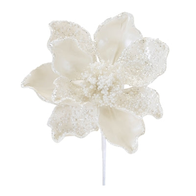 Magnolia Stem