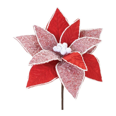 Poinsettia Stem