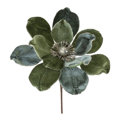 Magnolia Stem