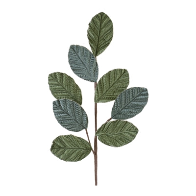 Leaf Spray