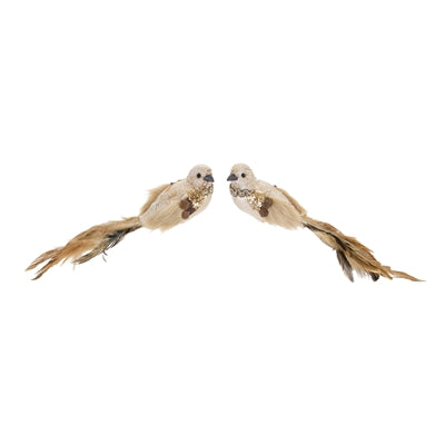 Fancy Bird (S/2)