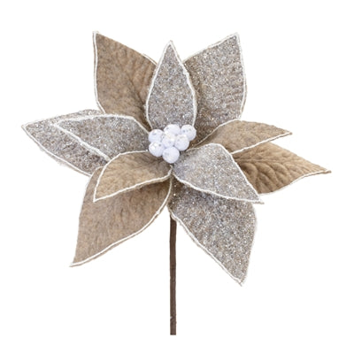 Poinsettia Stem