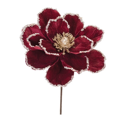 Magnolia Stem