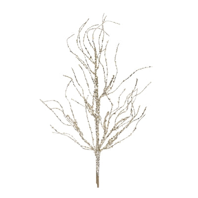 Twig Branch