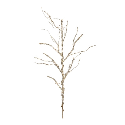 Twig Branch
