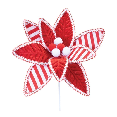 Poinsettia Stem