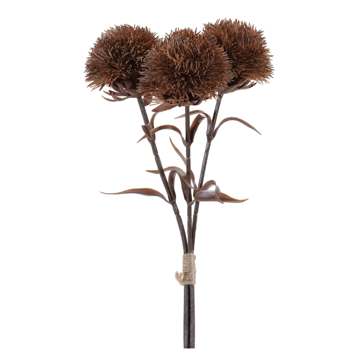 Thistle Bundle