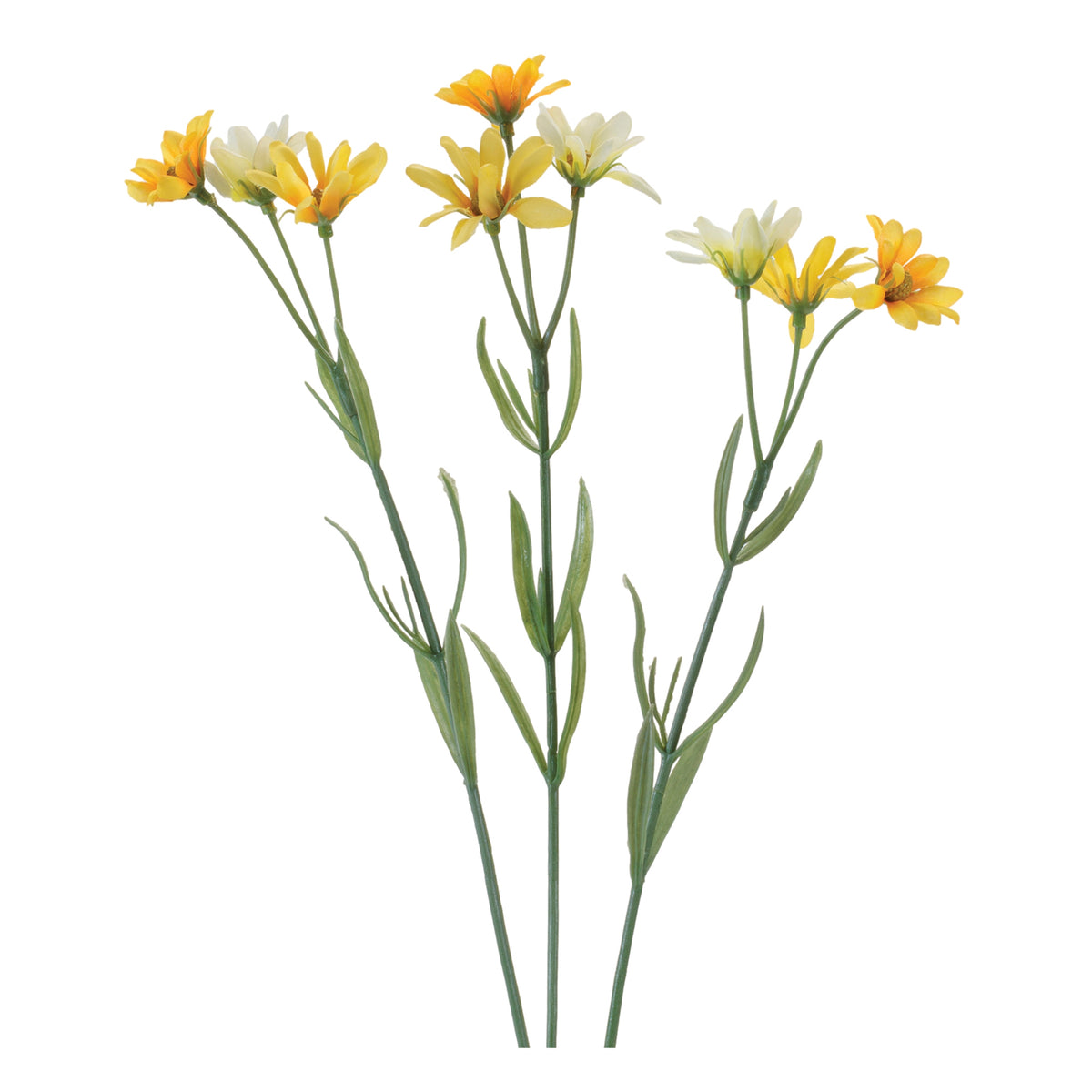Daisy Spray