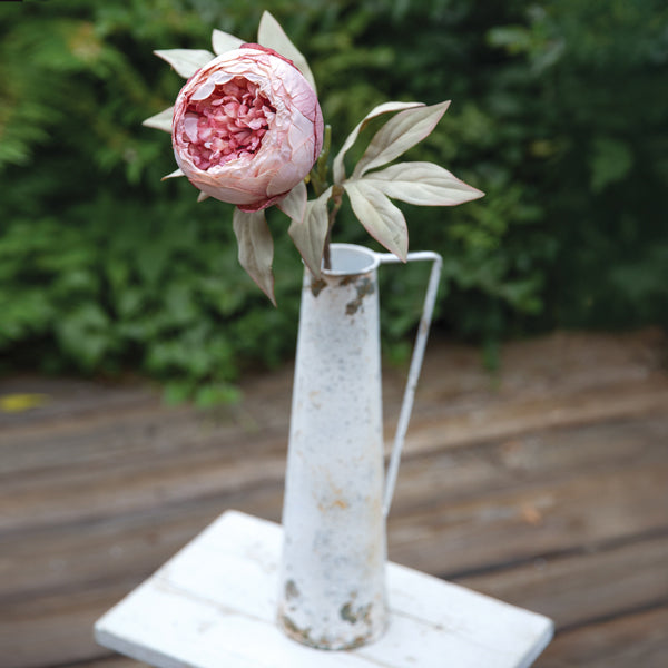 Blush Peony Stem - Min of 24
