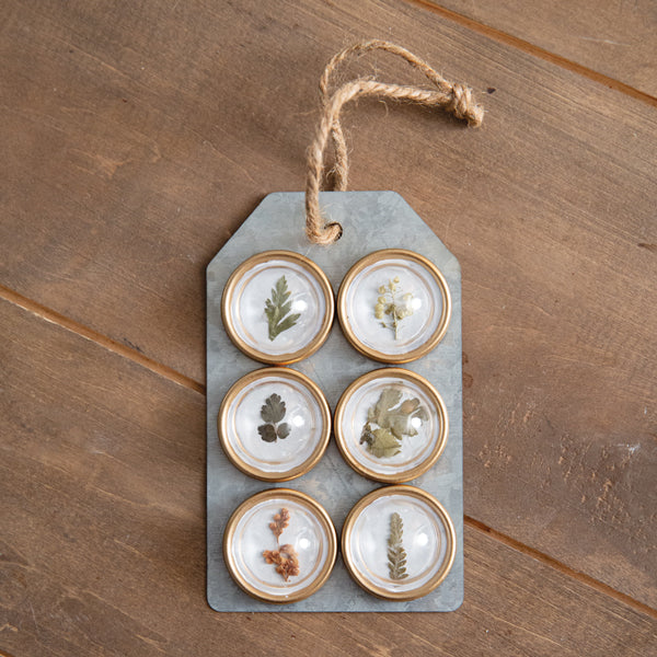 Encapsulated Botanicals Magnet Set