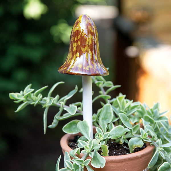 Big Bell Mushroom Plant Pick