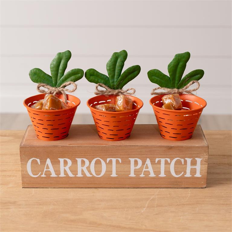 Carrot Patch Containers