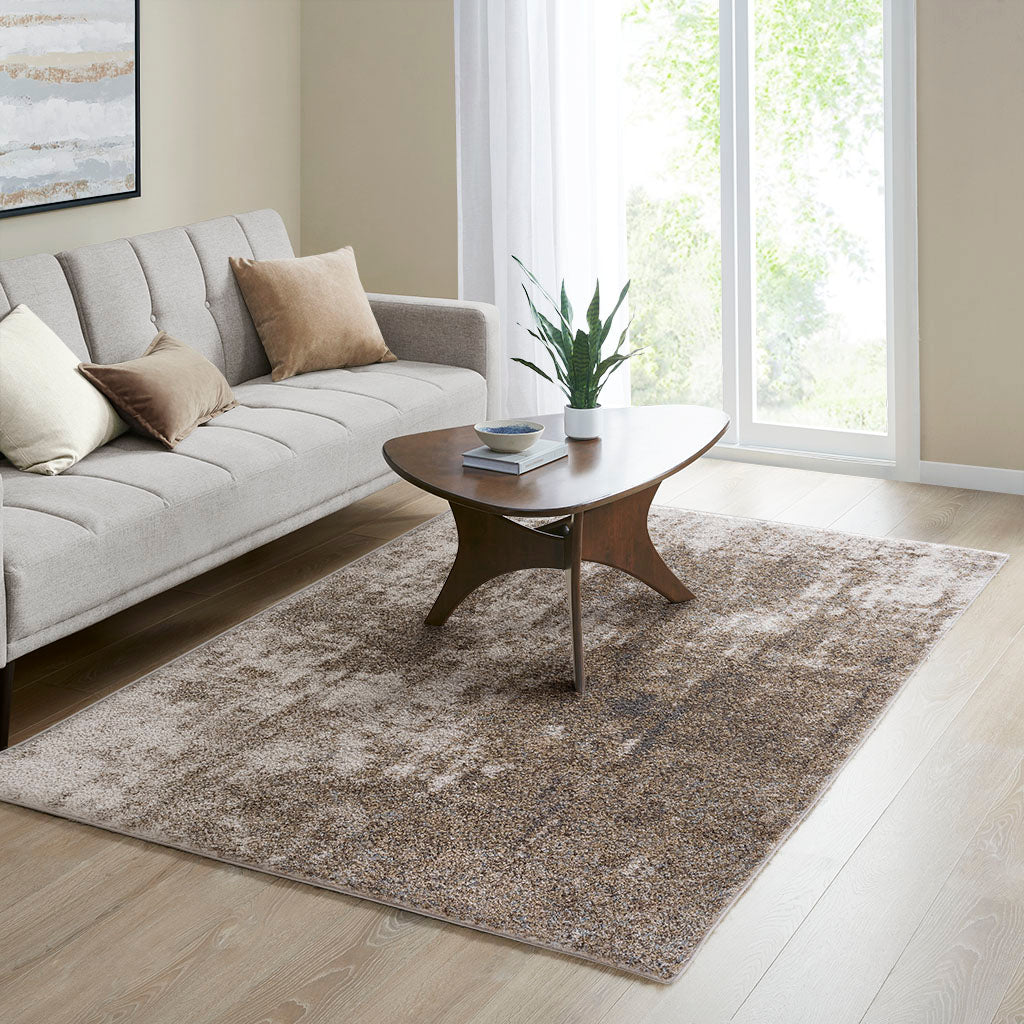 Haley Moroccan Global Woven Area Rug