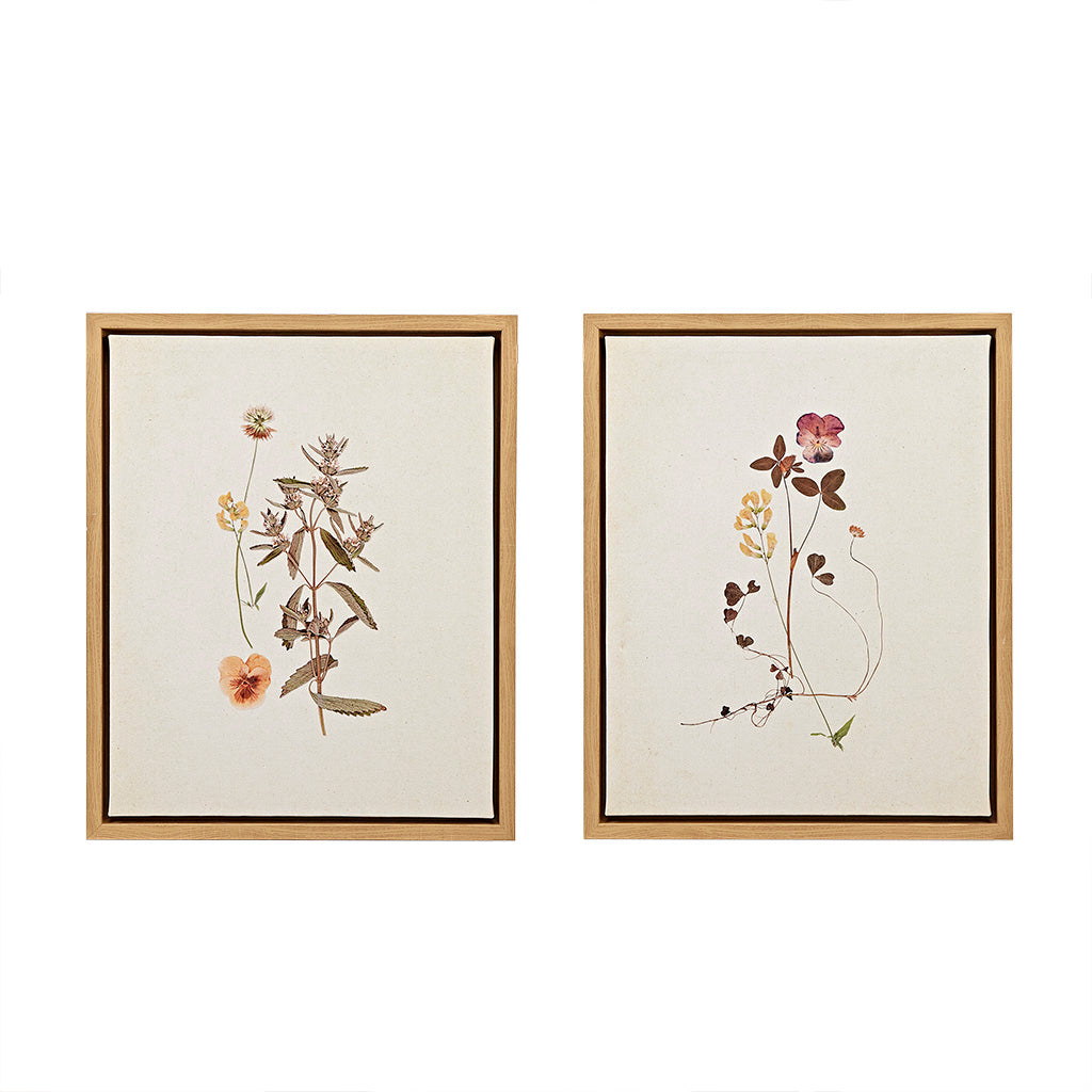 French Herbarium 4-piece Botanical Illustration Framed Canvas Wall Art Set