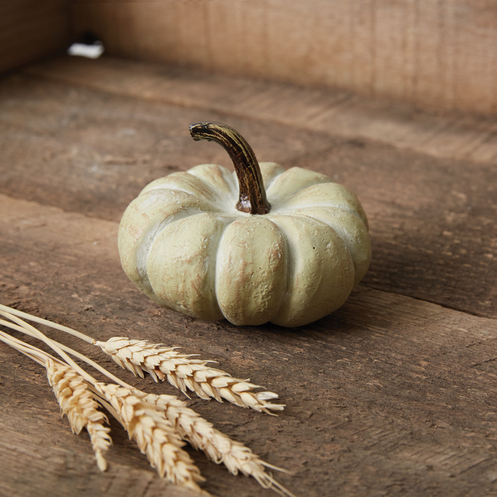 Small Harvest Pumpkin