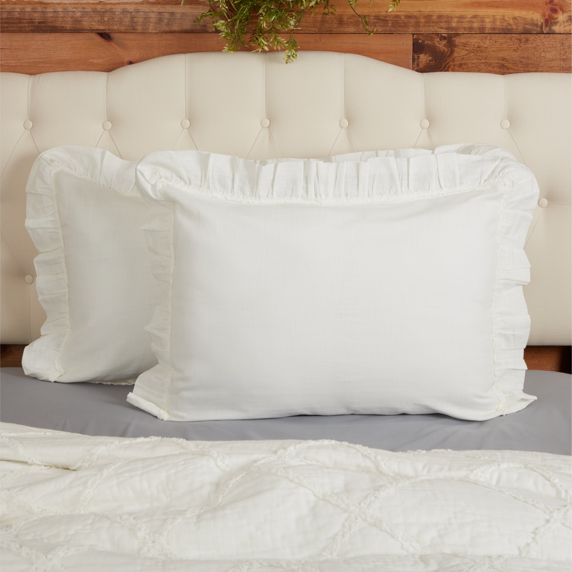 Kathryn Standard Sham