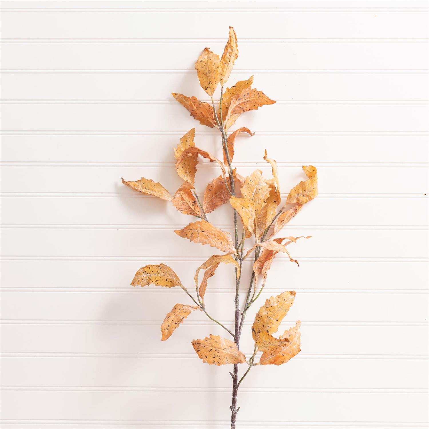 Spray - Rust Birch Leaf
