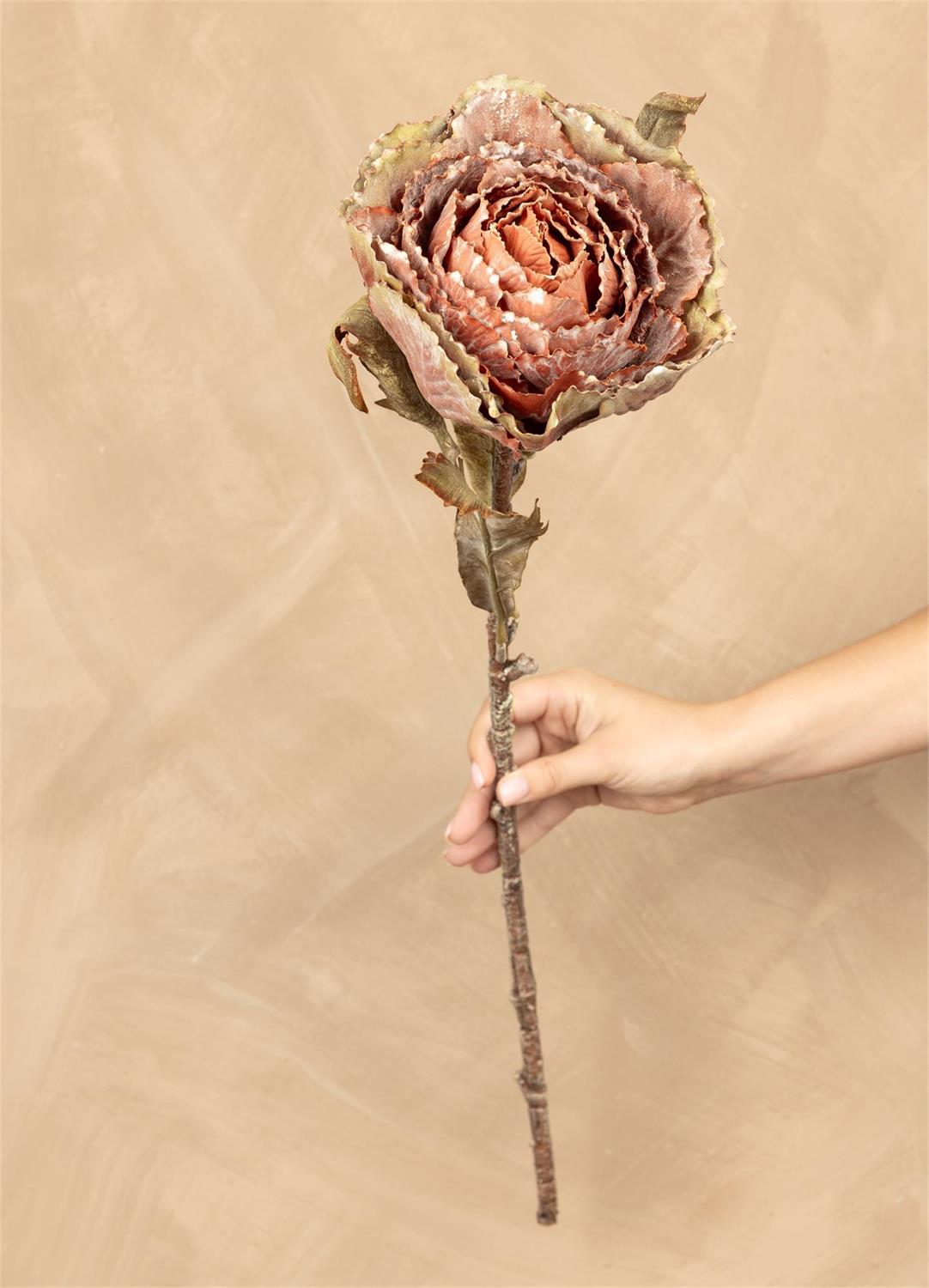 Stem - Autumn Cabbage Nutmeg