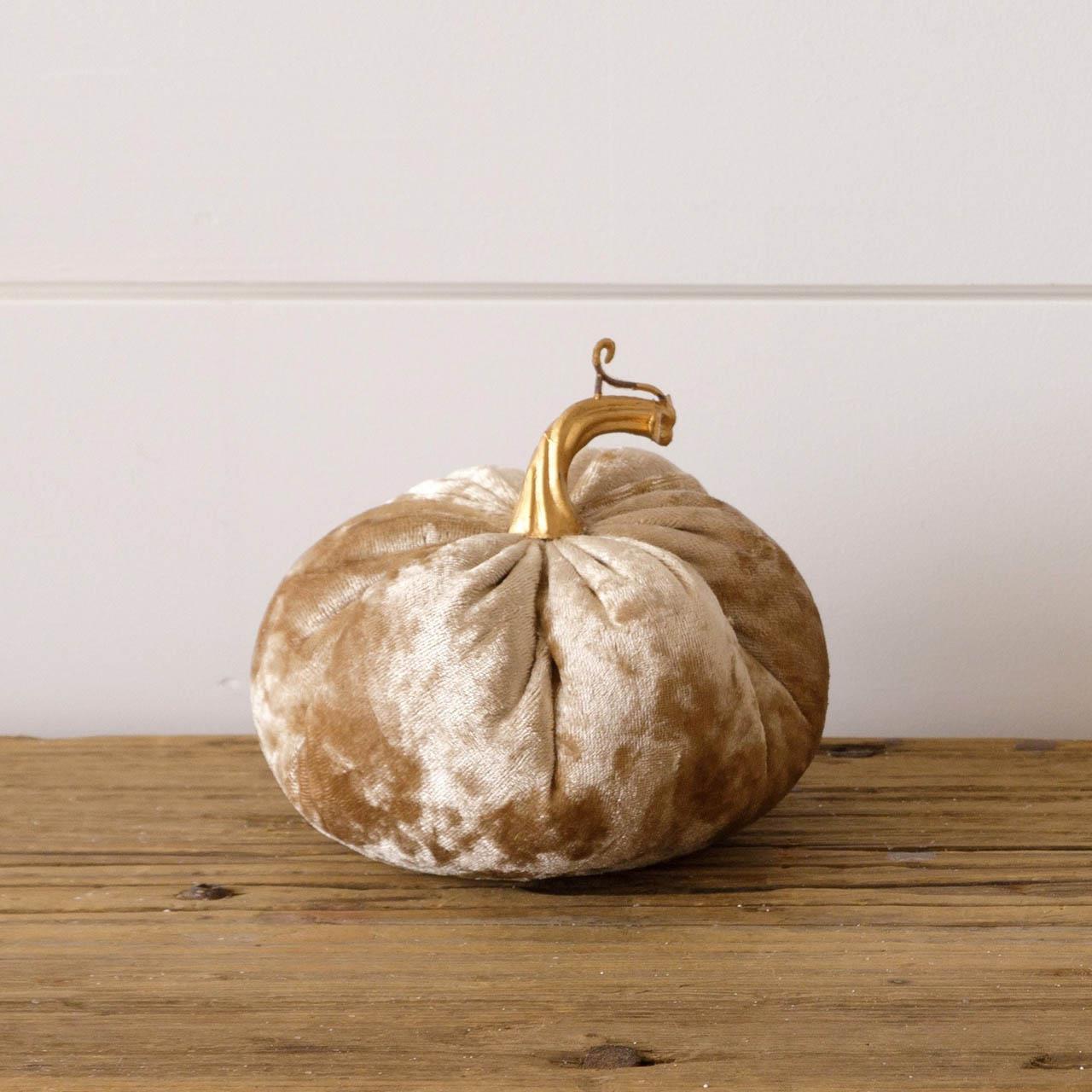 Champagne Pumpkin, Sm