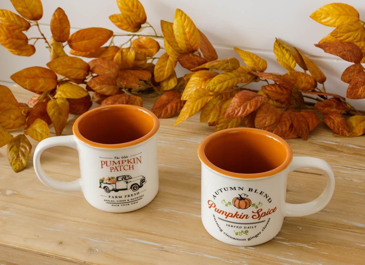Pumpkin Patch 12 Oz Mugs