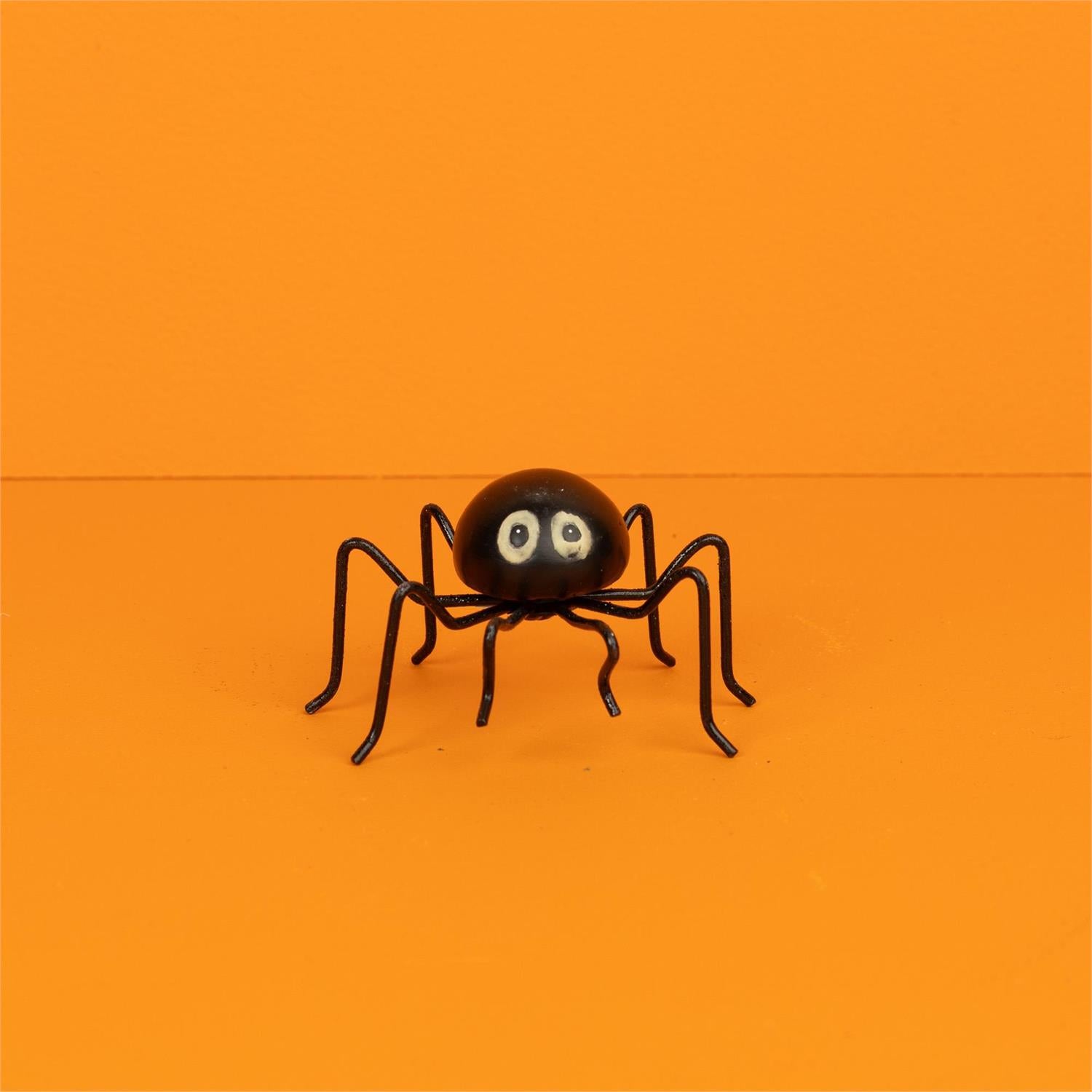 Night Glow-Eyed Spider