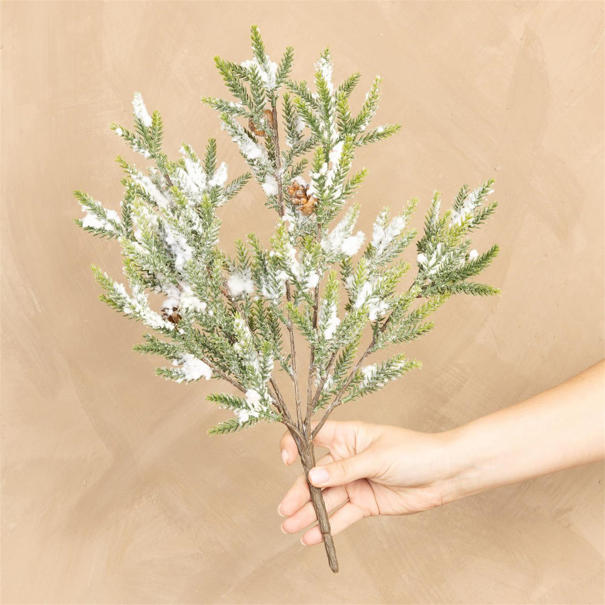 Bunch - Mini Pine With Snow And Pinecones