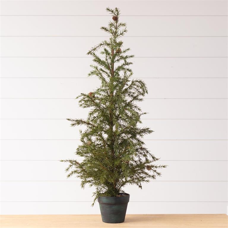 Potted Christmas Fir Pine Tree (L)